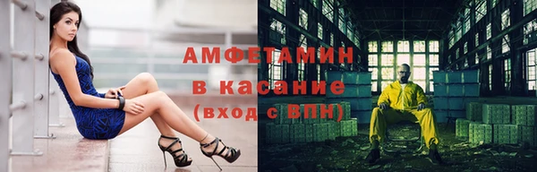 мет Алексин