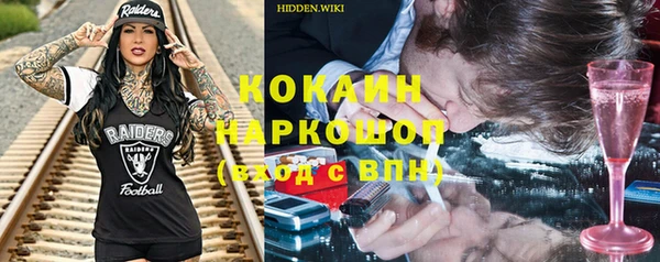 мет Алексин