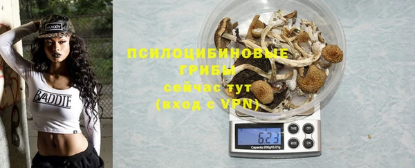 мет Алексин