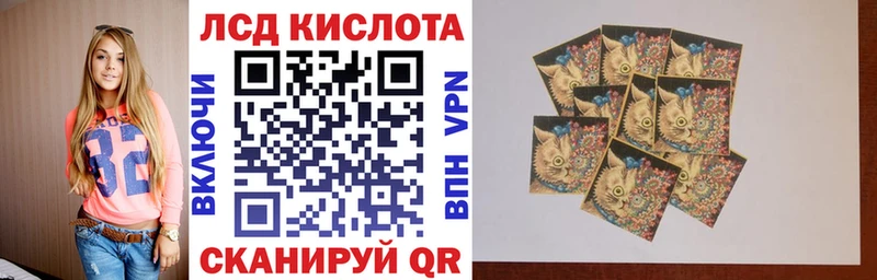 Наркотические марки 1,8мг  дарнет шоп  omg   shop телеграм  Сосновоборск 