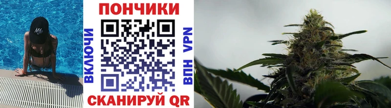 Каннабис планчик  Сосновоборск 